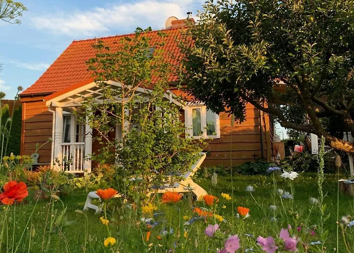 Storchenwiese, Wald, Strand, * Niczonow